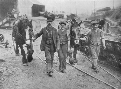 After the settlement: Miners taking their ponies back to the pit, 1915 by Unbekannt