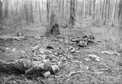 Aftermath of the Fighting in the Park of Plessis-de-Roye, Picardy, France, 30th March 1918 by Unbekannt