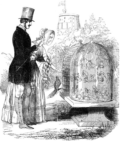 Albert, Prince Consort, Showing His Hives to Queen Victoria by Unbekannt