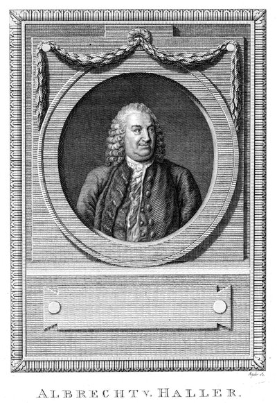 Albrecht von Haller, Swiss physician and scientist, c1770 c1780 by Unbekannt