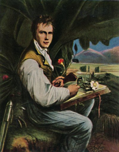 Alexander von Humboldt - Painting by Weitsch by Unbekannt