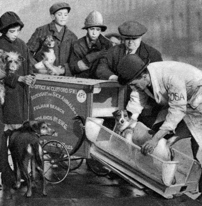Ambulance of the Dispensary for Sick Animals of the Poor, London, 1926-1927 by Unbekannt