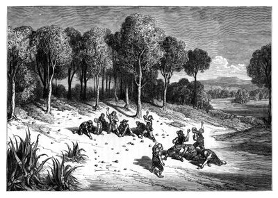 An orange grove in the south of Spain, c1890 by Unbekannt