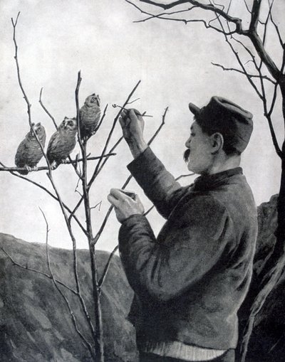 An original trench decoration, France, World War I by Unbekannt