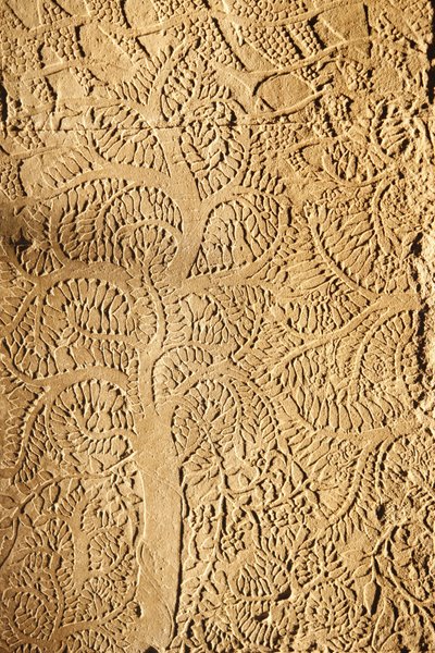 Angkor Wat, Carved Detail on Wall Tree by Unbekannt