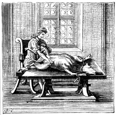 Animal-to-Human Blood Transfusion, 1679 by Unbekannt