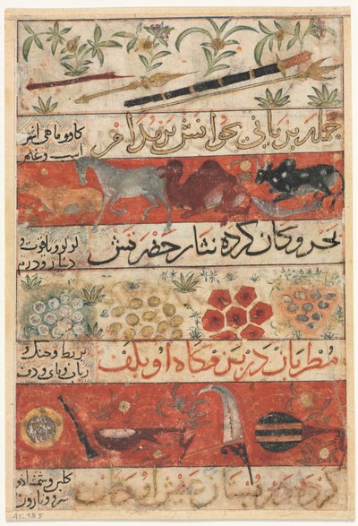 Animals, Precious Stones, Coins, and Musical Instruments (recto), Animals, Birds, and Plants (verso) by Unbekannt