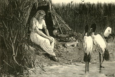 Anysis Concealed in the Marshes of the Delta, 1890 by Unbekannt