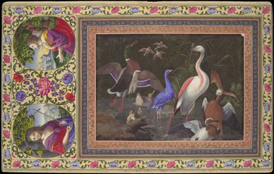 Aquatic Birds at a Pool, Folio from the Davis Album by Unbekannt