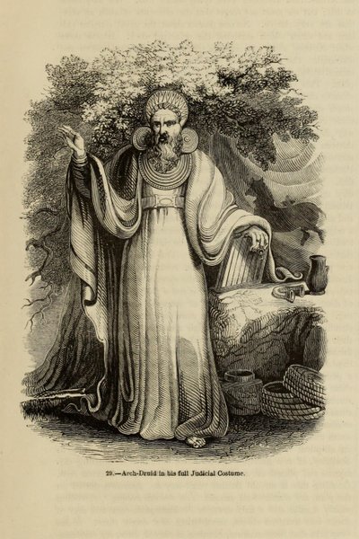 Arch-Druid in his full Judicial Costume, from the book Old England: A Pictorial Museum by Unbekannt