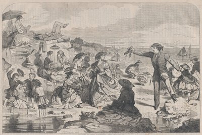 August in the Country - The Sea-Shore Harper