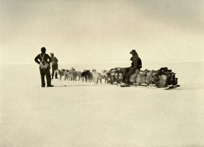 Bluff Depot Party on the Barrier by Unbekannt