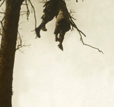 Body in tree, Bois d