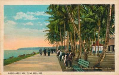 Borinquen Park, Near San Juan by Unbekannt