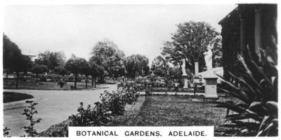 Botanical Gardens, Adelaide, Australia by Unbekannt