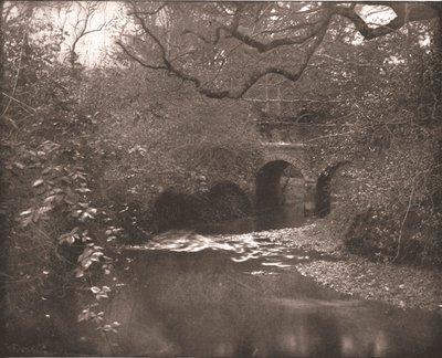 Brook and Bridge in the New Forest, Hampshire by Unbekannt