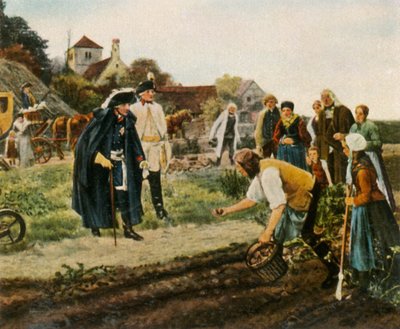 Building the Country After the Seven Years War: the King Overall by Unbekannt
