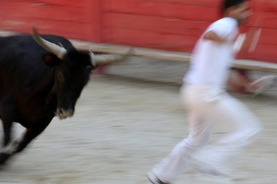 Bullfighting (Course Camarguaise), Vallabregues by Unbekannt