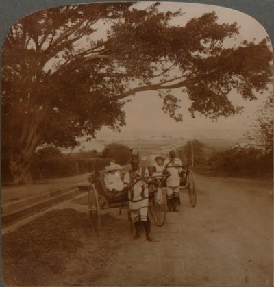 Cabs Drawn by Natives on a Residence Road, Durban, South Africa by Unbekannt