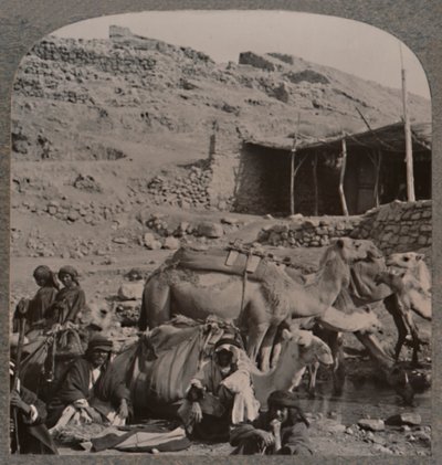 Camel train from Jerash, watering at the Fountain of Elisha by Unbekannt