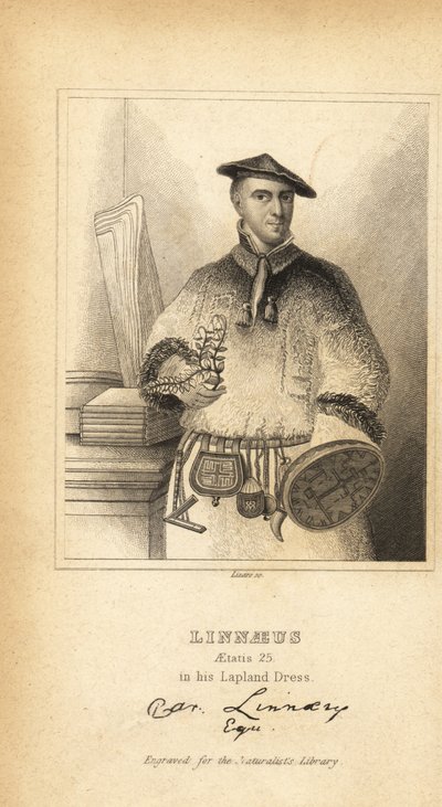 Carl Linnaeus in his Lapland Dress by Unbekannt