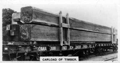 Carload of Douglas Fir, Canada, 1920s by Unbekannt