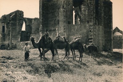 Carmelite and Armenian Churches at Martinengo Bastion, Famagusta, Northern Cyprus by Unbekannt