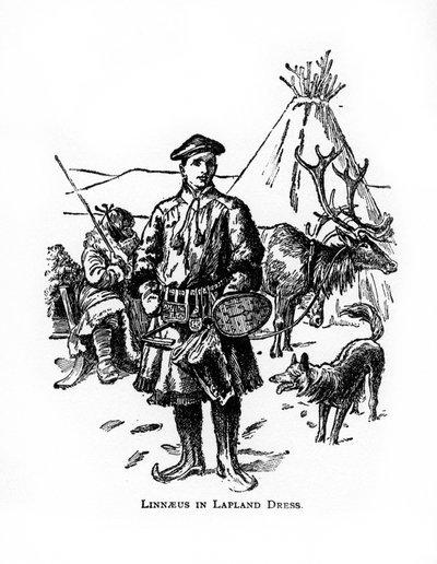 Carolus Linnaeus, 18th Century Swedish Botanist, Physician and Zoologist, 20th Century by Unbekannt