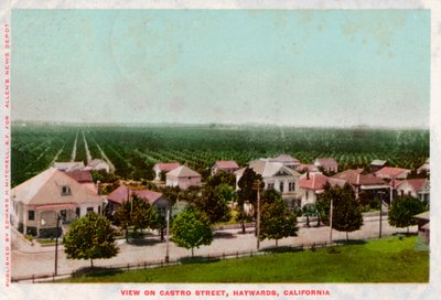 Castro Street, Hayward, California, 1905 by Unbekannt