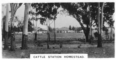 Cattle Station Homestead, Australia by Unbekannt