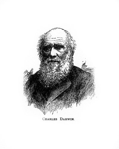 Charles Darwin, 19th century British naturalist by Unbekannt
