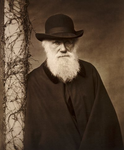 Charles Darwin at his home at Down House, Kent by Unbekannt
