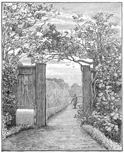 Charles Darwin in the sand walk at Down House by Unbekannt