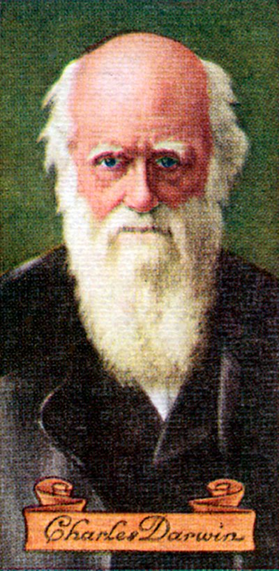 Charles Darwin, taken from a series of cigarette cards by Unbekannt