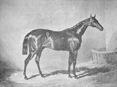 Charles XII, Winner of the St. Leger 1839 by Unbekannt