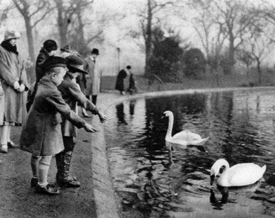 Children Feeding the Swans on the Serpentine, London by Unbekannt