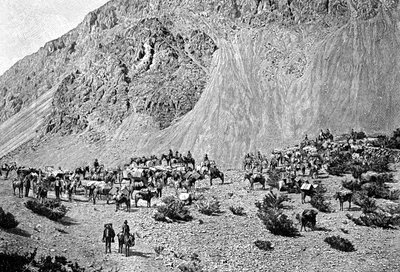 Convoy of Muleteers at the Foot of the Cordillera, South America, 1895 by Unbekannt