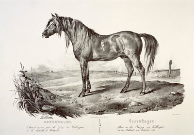 Copenhagen, the Duke of Wellington