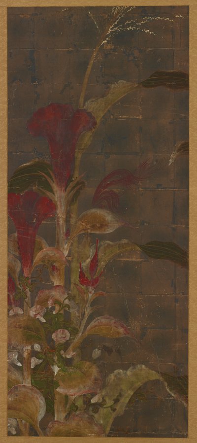 Coxcombs, Maize and Morning-Glories by Unbekannt