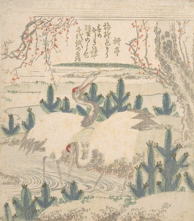 Cranes Among Young Pines Near a Stream by Unbekannt