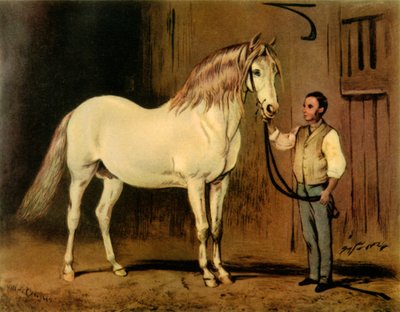 Cream State Carriage Horse of Queen Victoria