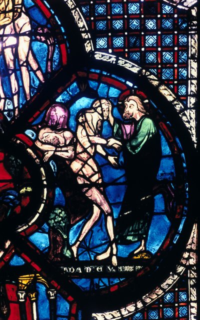 Creation of Eve, Stained Glass, Chartres Cathedral, France by Unbekannt