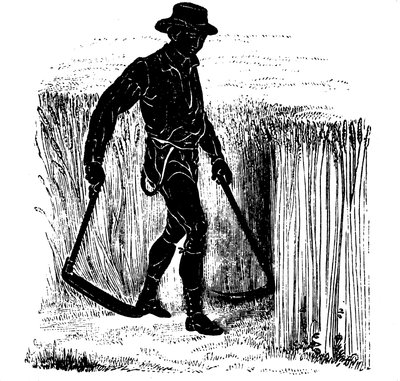 Crop rotation: reaping with a Hainault Scythe by Unbekannt