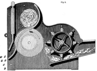 Cross-Section of Eli Whitney