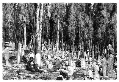 Cypress trees in the cemetery of Scutari, Turkey, 1895 by Unbekannt