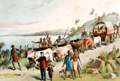 David Livingstone, Scottish missionary and African explorer by Unbekannt