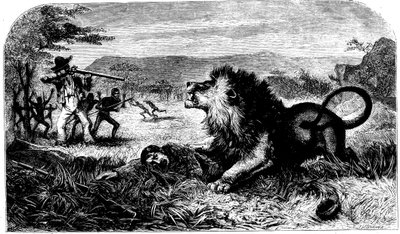 David Livingstone, Saved from a Lion by Mebalwe, a Native Schoolmaster by Unbekannt