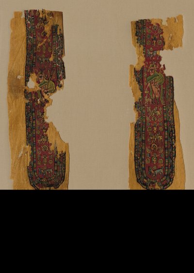 Decorations and Sleeve from a Tunic by Unbekannt