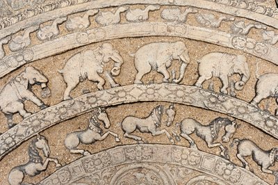 Detail; historic stone-relief; moonstone with animal representations; elephants; horses; stone on a flight of stairs; Council Hall of King Parakrama Bahu I; inner city district; Polonnaruwa; Sri Lanka; Asia by Unbekannt