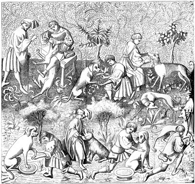 Diseases of Dogs and Their Cures by Unbekannt